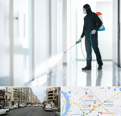 سمپاشی شرکت در زیتون کارمندی اهواز 