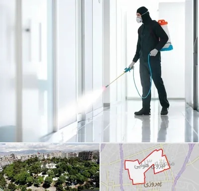 سمپاشی شرکت در نیروی هوایی