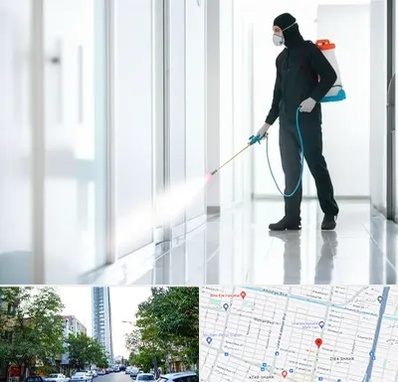 سمپاشی شرکت در امامت مشهد 