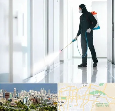 سمپاشی شرکت در شرق تهران 