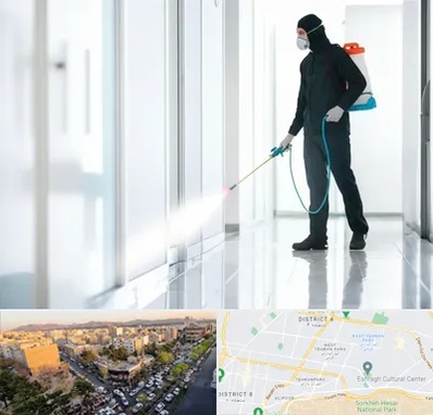 سمپاشی شرکت در تهرانپارس 