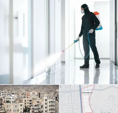 سمپاشی شرکت در اسکندری 