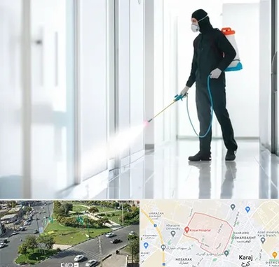 سمپاشی شرکت در شاهین ویلا کرج