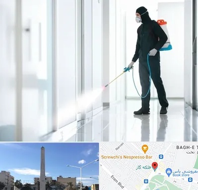 سمپاشی شرکت در فلکه گاز شیراز 