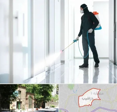 سمپاشی شرکت در دزاشیب