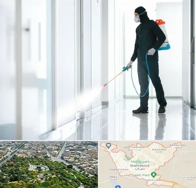 سمپاشی شرکت در شهرکرد