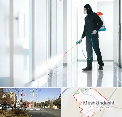 سمپاشی شرکت در مشکین دشت