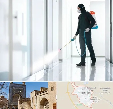 سمپاشی شرکت در تربت جام