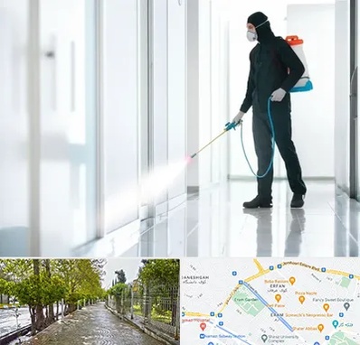 سمپاشی شرکت در خیابان ارم شیراز 