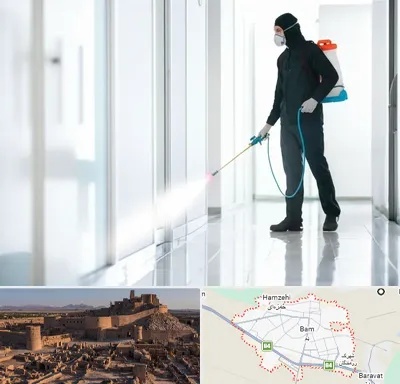 سمپاشی شرکت در بم