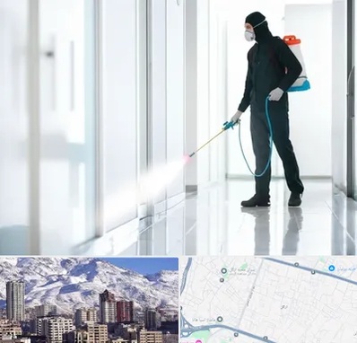 سمپاشی شرکت در ازگل 