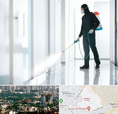 سمپاشی شرکت در عظیمیه کرج