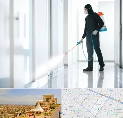 سمپاشی شرکت در هاشمیه مشهد 