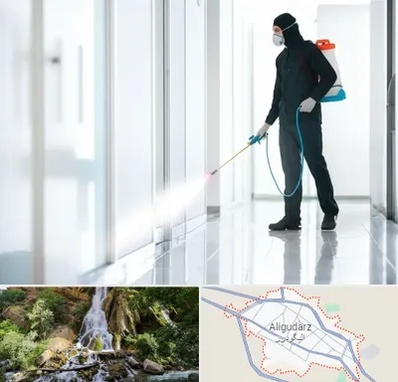 سمپاشی شرکت در الیگودرز