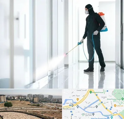 سمپاشی شرکت در کوی وحدت شیراز 