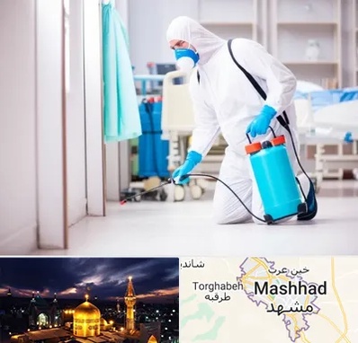 سمپاشی بیمارستان در مشهد