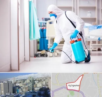 سمپاشی بیمارستان در محمودیه