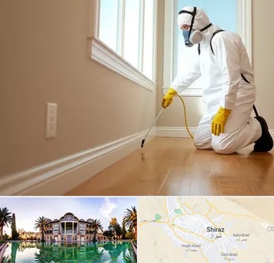 سمپاشی منازل در شیراز