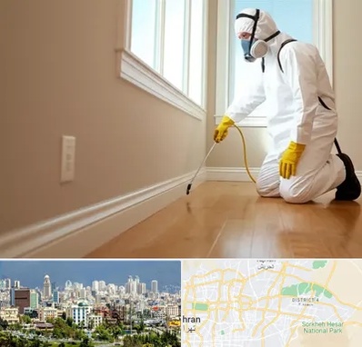 سمپاشی منازل در شرق تهران 