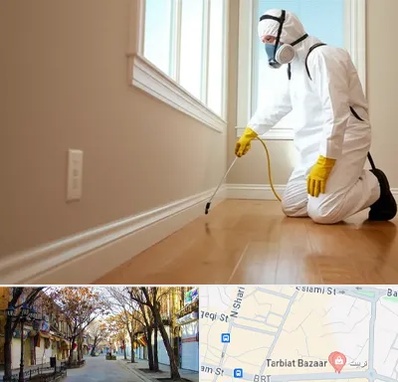 سمپاشی منازل در تربیت تبریز 