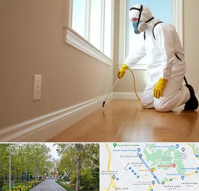 سمپاشی منازل در قدوسی غربی شیراز 