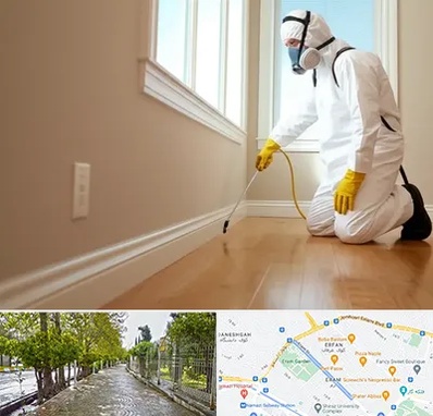 سمپاشی منازل در خیابان ارم شیراز 