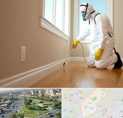 سمپاشی منازل در کمال شهر کرج 