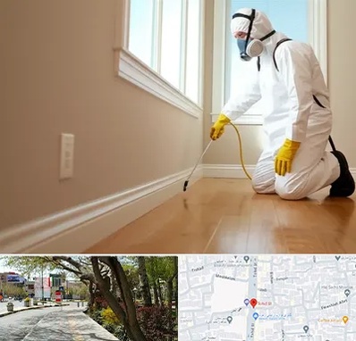 سمپاشی منازل در خیابان توحید اصفهان 