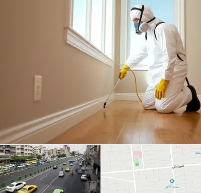 سمپاشی منازل در خیابان دامپزشکی