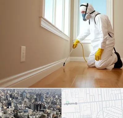 سمپاشی منازل در جیحون