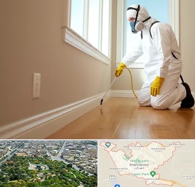 سمپاشی منازل در شهرکرد