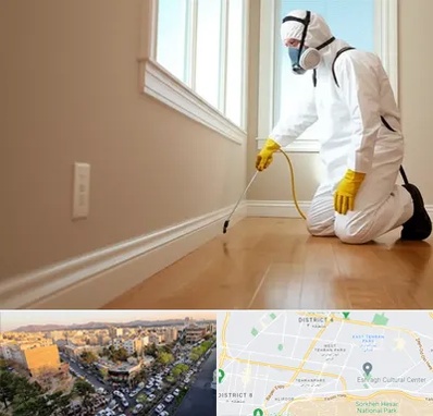 سمپاشی منازل در تهرانپارس 