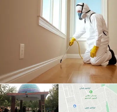 سمپاشی منازل در کیانشهر