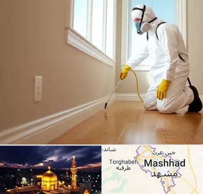 سمپاشی منازل در مشهد