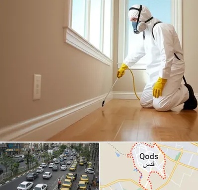 سمپاشی منازل در شهر قدس