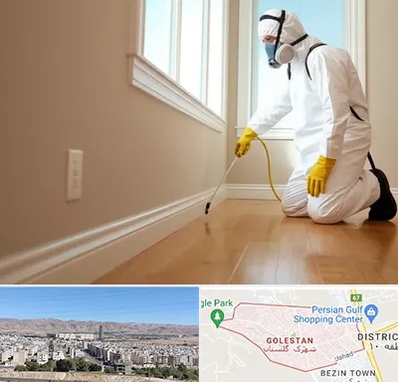 سمپاشی منازل در شهرک گلستان شیراز 