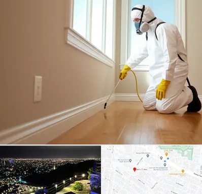 سمپاشی منازل در هفت تیر مشهد 