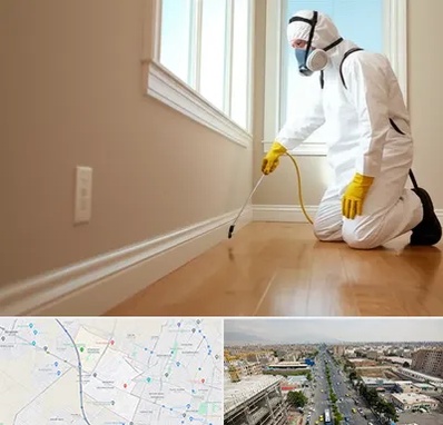 سمپاشی منازل در حصارک کرج 