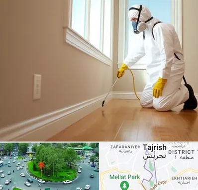 سمپاشی منازل در تجریش 