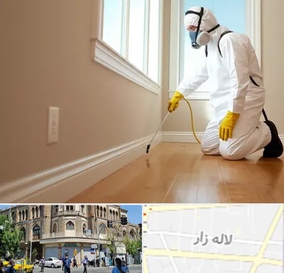 سمپاشی منازل در لاله زار
