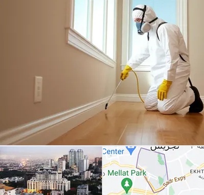 سمپاشی منازل در الهیه 