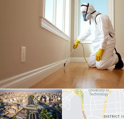 سمپاشی منازل در استاد معین