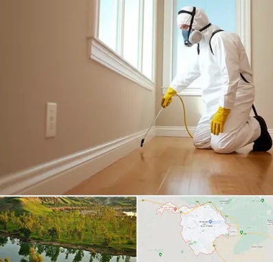 سمپاشی منازل در بهبهان