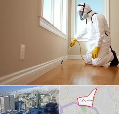 سمپاشی منازل در محمودیه