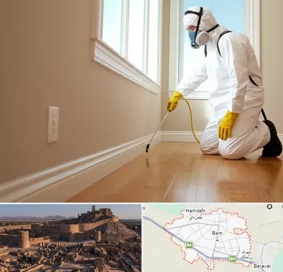 سمپاشی منازل در بم