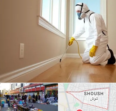 سمپاشی منازل در شوش