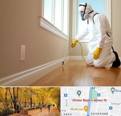 سمپاشی منازل در چهارباغ اصفهان 