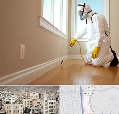 سمپاشی منازل در اسکندری 