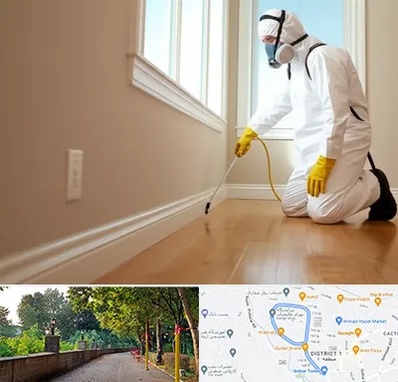 سمپاشی منازل در فلکه گاز رشت 