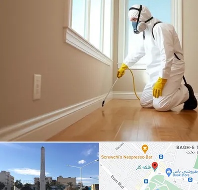 سمپاشی منازل در فلکه گاز شیراز 